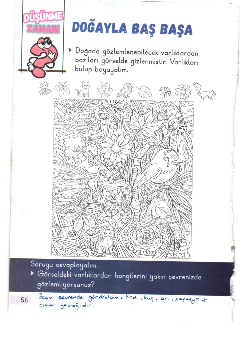 1. Sınıf Hayat Bilgisi Ders Kitabı Cevapları Meb Yayınları 2. Kitap Sayfa 56 Çözüm Görseli