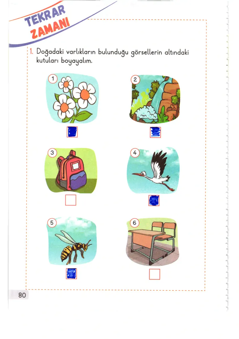 1. Sınıf Hayat Bilgisi Ders Kitabı Cevapları Meb Yayınları 2. Kitap Sayfa 80 Çözüm Görseli