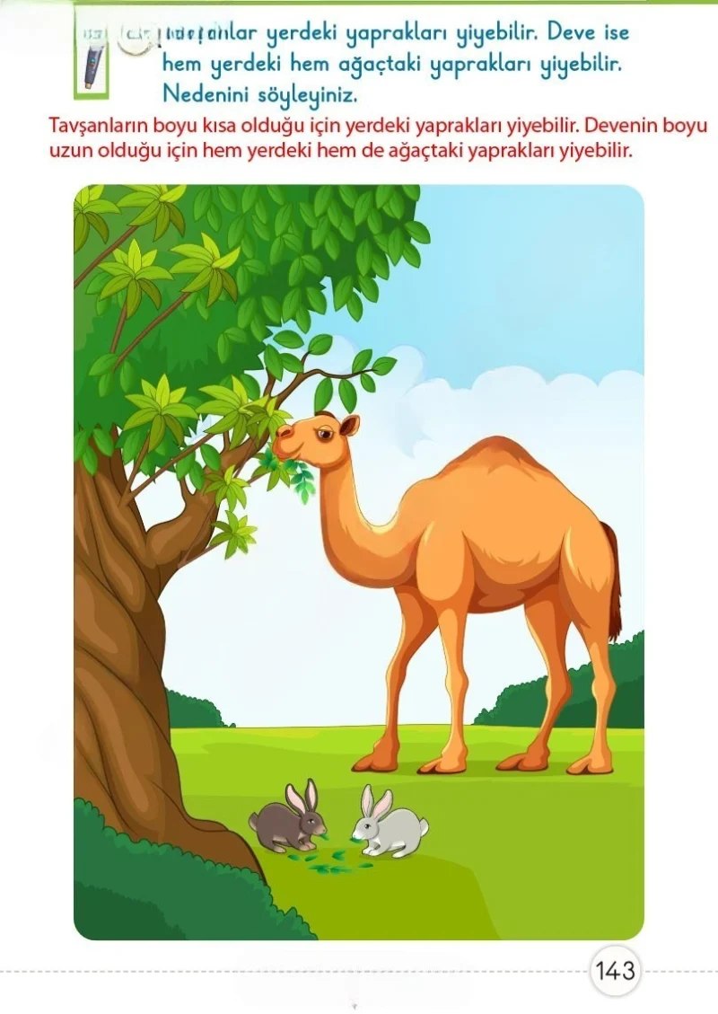 1. Sınıf Matematik Ders Kitabı Cevapları Meb Yayınları 1. Kitap Sayfa 143 Çözüm Görseli