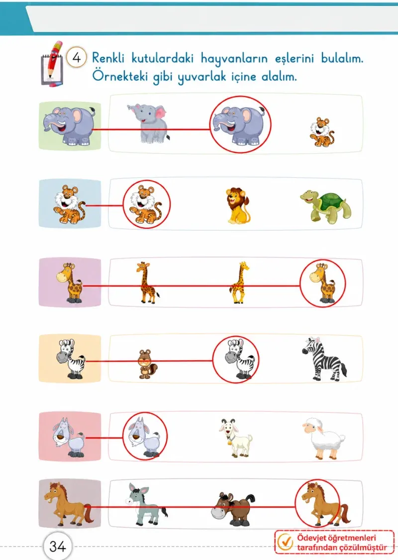 1. Sınıf Matematik Ders Kitabı Cevapları Meb Yayınları 1. Kitap Sayfa 34 Çözüm Görseli
