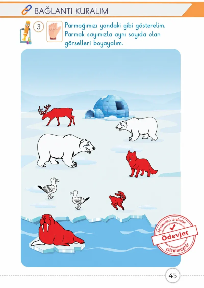 1. Sınıf Matematik Ders Kitabı Cevapları Meb Yayınları 1. Kitap Sayfa 45 Çözüm Görseli