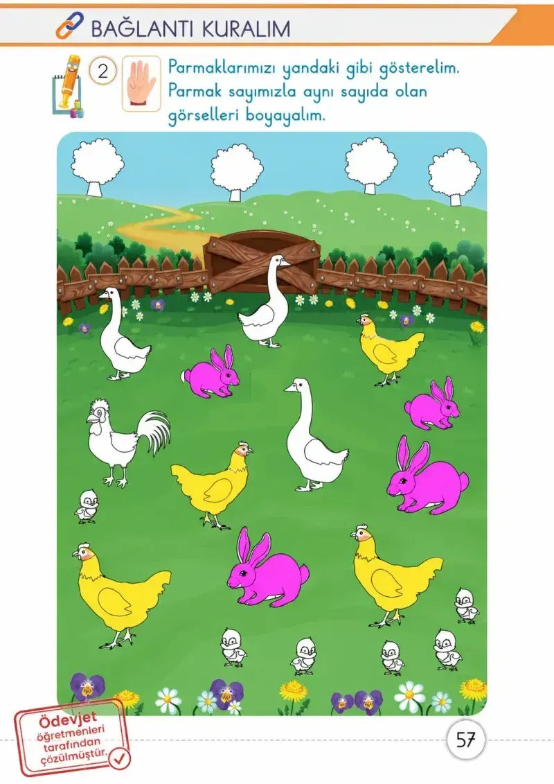 1. Sınıf Matematik Ders Kitabı Cevapları Meb Yayınları 1. Kitap Sayfa 57 Çözüm Görseli