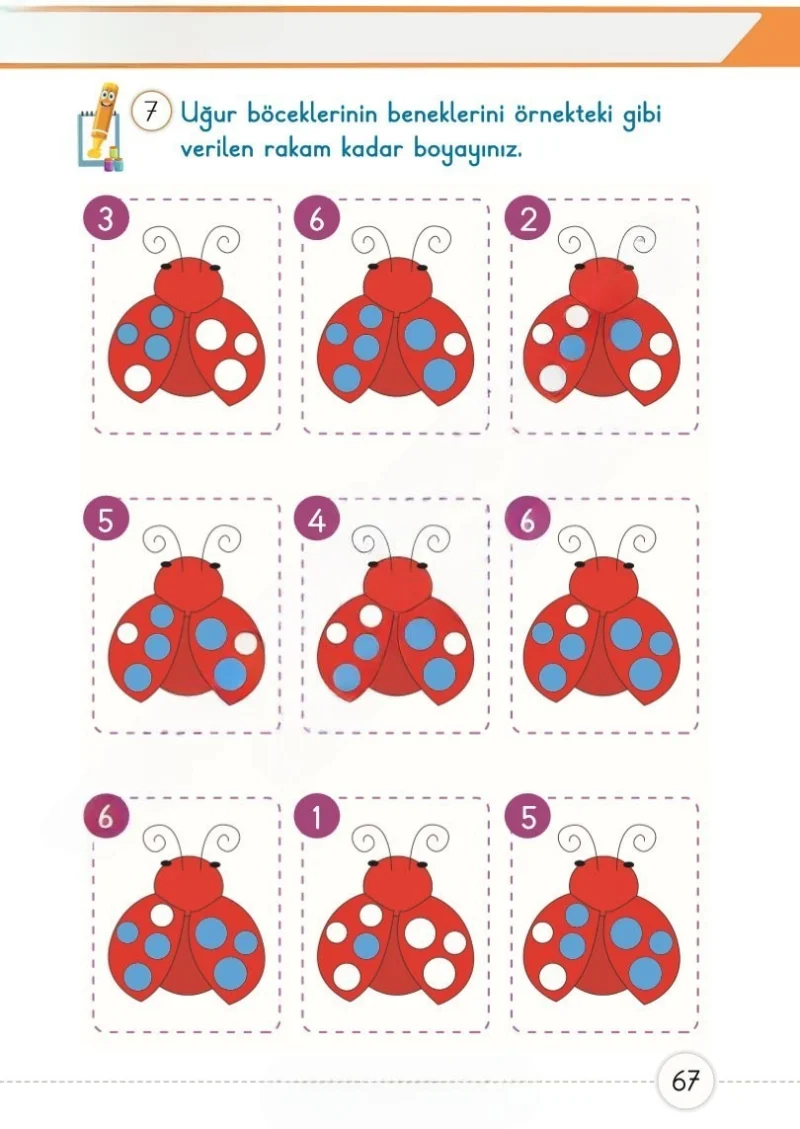 1. Sınıf Matematik Ders Kitabı Cevapları Meb Yayınları 1. Kitap Sayfa 67 Çözüm Görseli