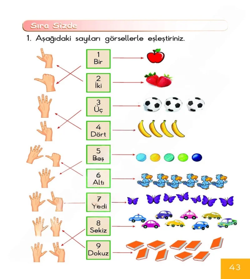 1. Sınıf Matematik Ders Kitabı Cevapları Meb Yayınları Sayfa 43 Çözüm Görseli