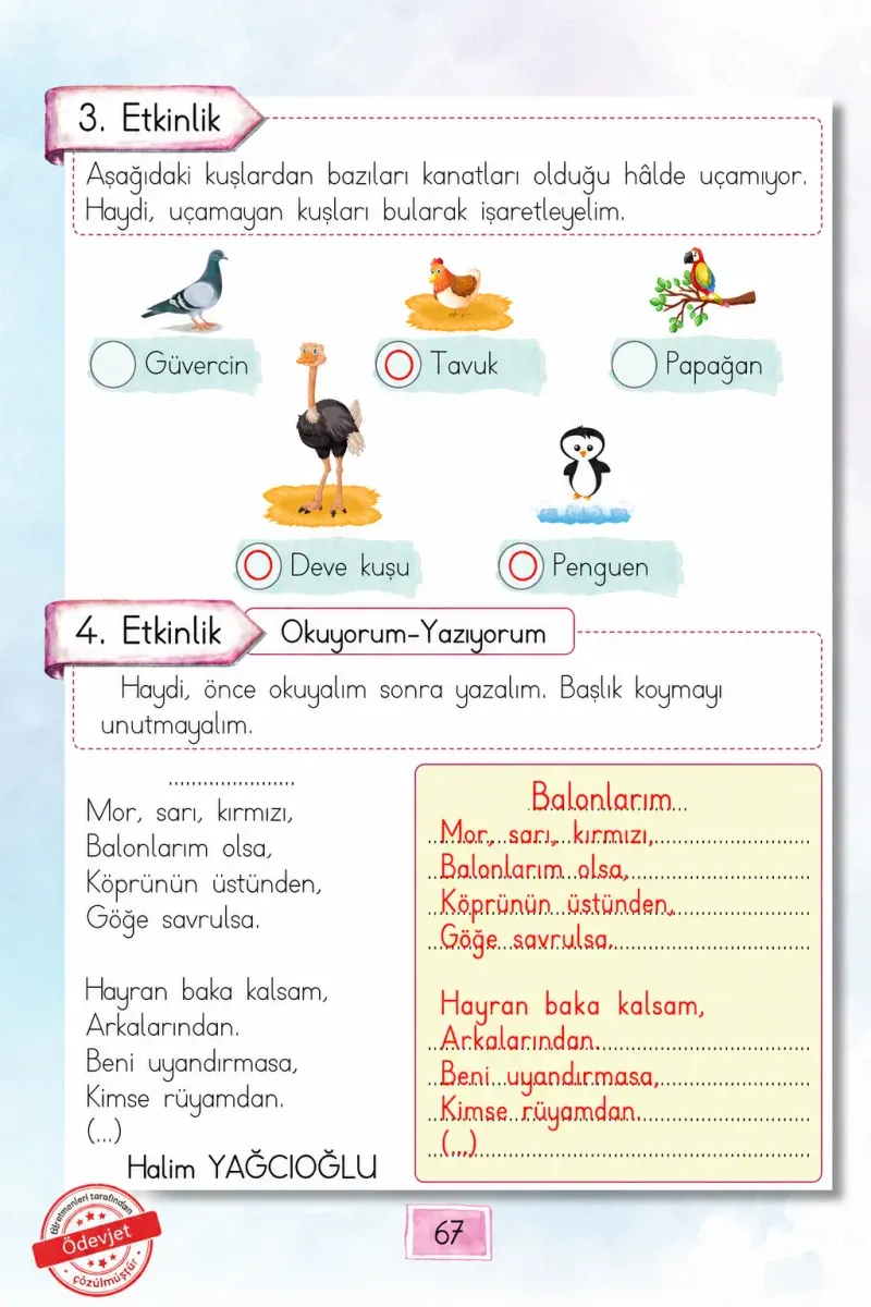 1. Sınıf Türkçe Ders Kitabı Cevapları Cem Yayınları Sayfa 67 Çözüm Görseli