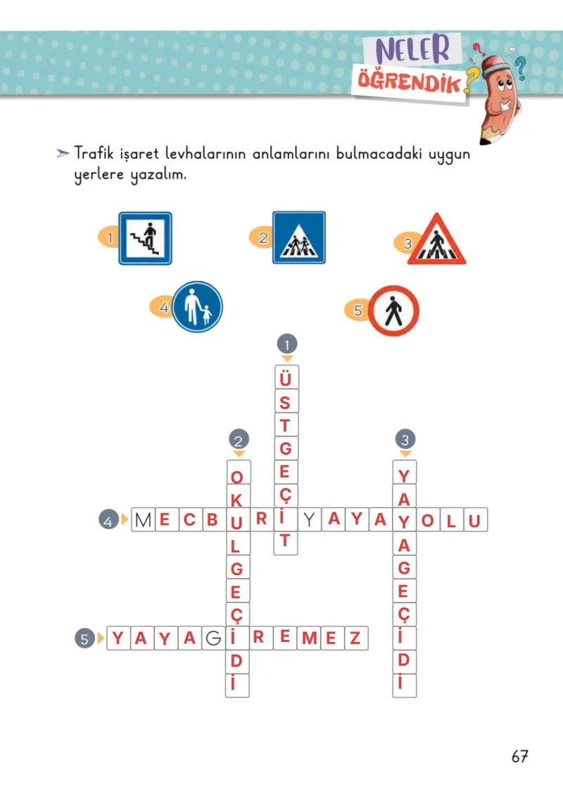 2. Sınıf Hayat Bilgisi Ders Kitabı Cevapları Meb Yayınları 1. Kitap Sayfa 67 Çözüm Görseli