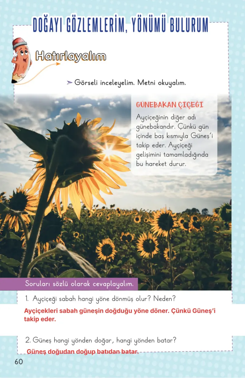 2. Sınıf Hayat Bilgisi Ders Kitabı Cevapları Meb Yayınları 2. Kitap Sayfa 60 Çözüm Görseli
