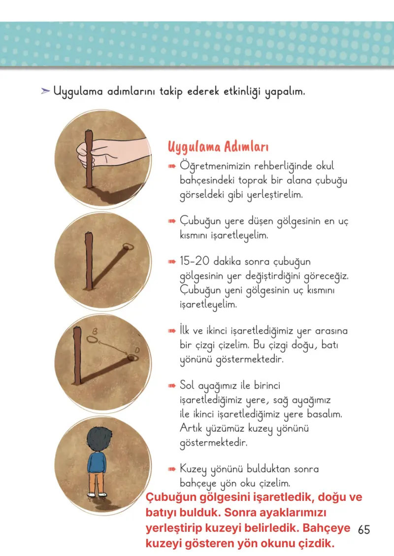 2. Sınıf Hayat Bilgisi Ders Kitabı Cevapları Meb Yayınları 2. Kitap Sayfa 65 Çözüm Görseli