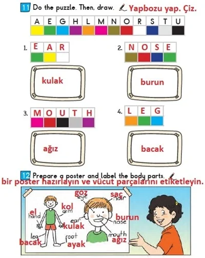 2. Sınıf İngilizce Ders Kitabı Cevapları Bilim ve Kültür Yayınları Sayfa 100 Çözüm Görseli