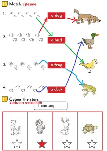 2. Sınıf İngilizce Ders Kitabı Cevapları Bilim ve Kültür Yayınları Sayfa 120 Çözüm Görseli