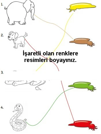 2. Sınıf İngilizce Ders Kitabı Cevapları Bilim ve Kültür Yayınları Sayfa 144 Çözüm Görseli