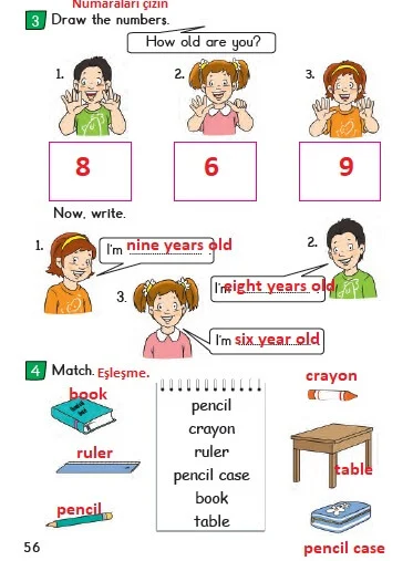 2. Sınıf İngilizce Ders Kitabı Cevapları Bilim ve Kültür Yayınları Sayfa 56 Çözüm Görseli