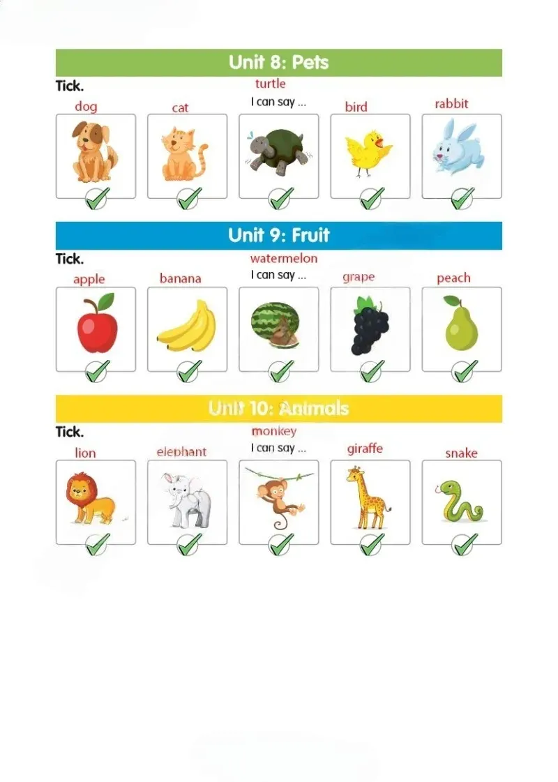 2. Sınıf İngilizce Ders Kitabı Cevapları Hecce Yayınları Sayfa 145 Çözüm Görseli