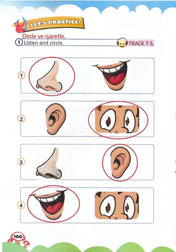 2. Sınıf İngilizce Ders Kitabı Cevapları Sözcü Yayıncılık Sayfa 100 Çözüm Görseli