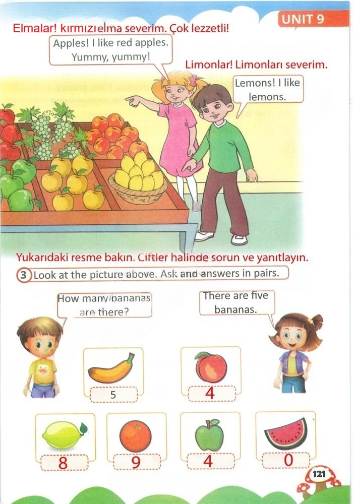 2. Sınıf İngilizce Ders Kitabı Cevapları Sözcü Yayıncılık Sayfa 121 Çözüm Görseli