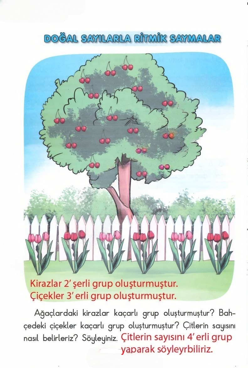 Çözüm Görseli