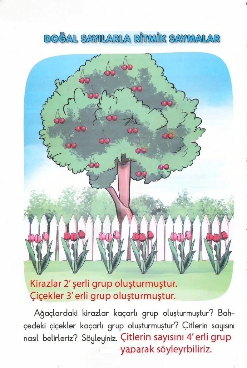 2. Sınıf Matematik Ders Kitabı Cevapları Anka Yayınları Sayfa 40 Çözüm Görseli