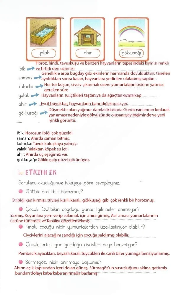 2. Sınıf Türkçe Ders Kitabı Cevapları Ada Matbaacılık Yayıncılık Sayfa 209 Çözüm Görseli