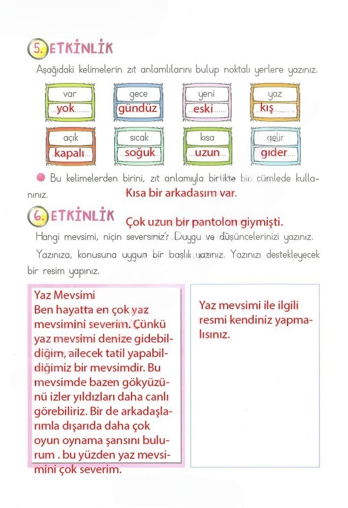 Çözüm Görseli