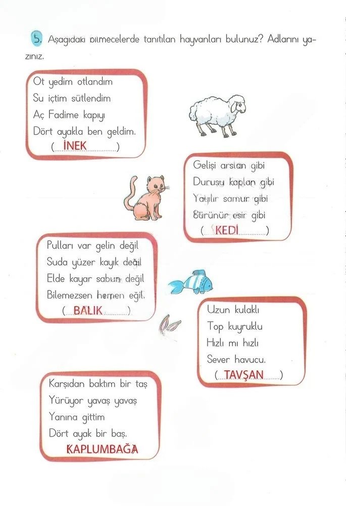 2. Sınıf Türkçe Ders Kitabı Cevapları Ada Matbaacılık Yayıncılık Sayfa 228 Çözüm Görseli