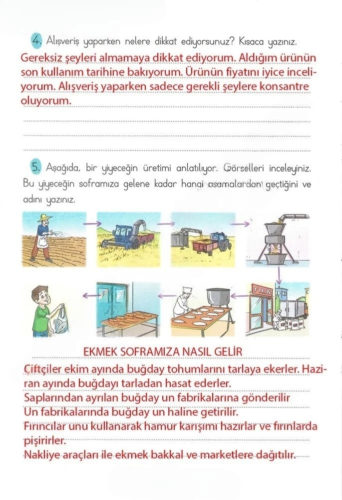 2. Sınıf Türkçe Ders Kitabı Cevapları Ada Matbaacılık Yayıncılık Sayfa 256 Çözüm Görseli