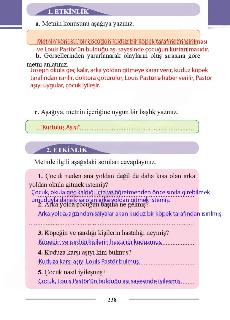 2. Sınıf Türkçe Ders Kitabı Cevapları Bilim ve Kültür Yayınları Sayfa 238 Çözüm Görseli
