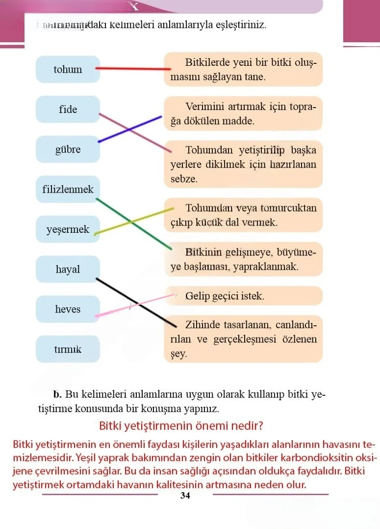 2. Sınıf Türkçe Ders Kitabı Cevapları Bilim ve Kültür Yayınları Sayfa 34 Çözüm Görseli