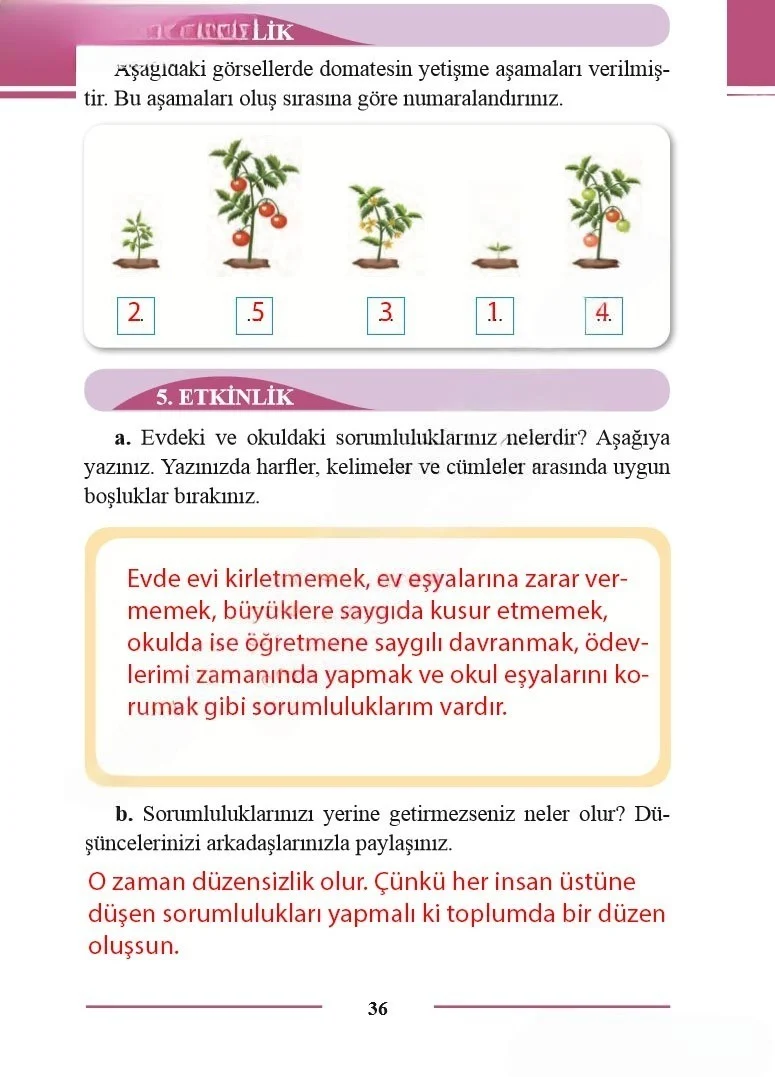 2. Sınıf Türkçe Ders Kitabı Cevapları Bilim ve Kültür Yayınları Sayfa 36 Çözüm Görseli