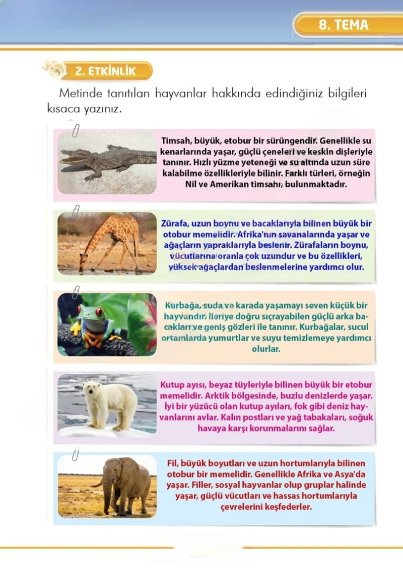 2. Sınıf Türkçe Ders Kitabı Cevapları İlke Yayınları Sayfa 277 Çözüm Görseli