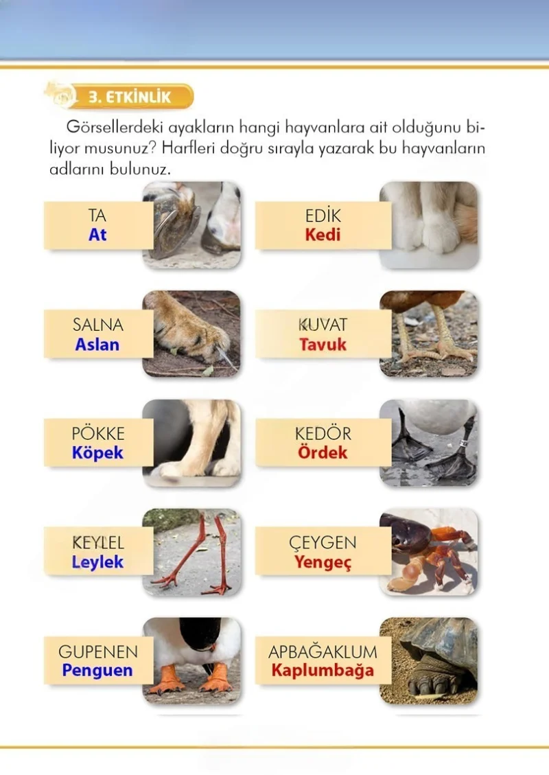 2. Sınıf Türkçe Ders Kitabı Cevapları İlke Yayınları Sayfa 278 Çözüm Görseli