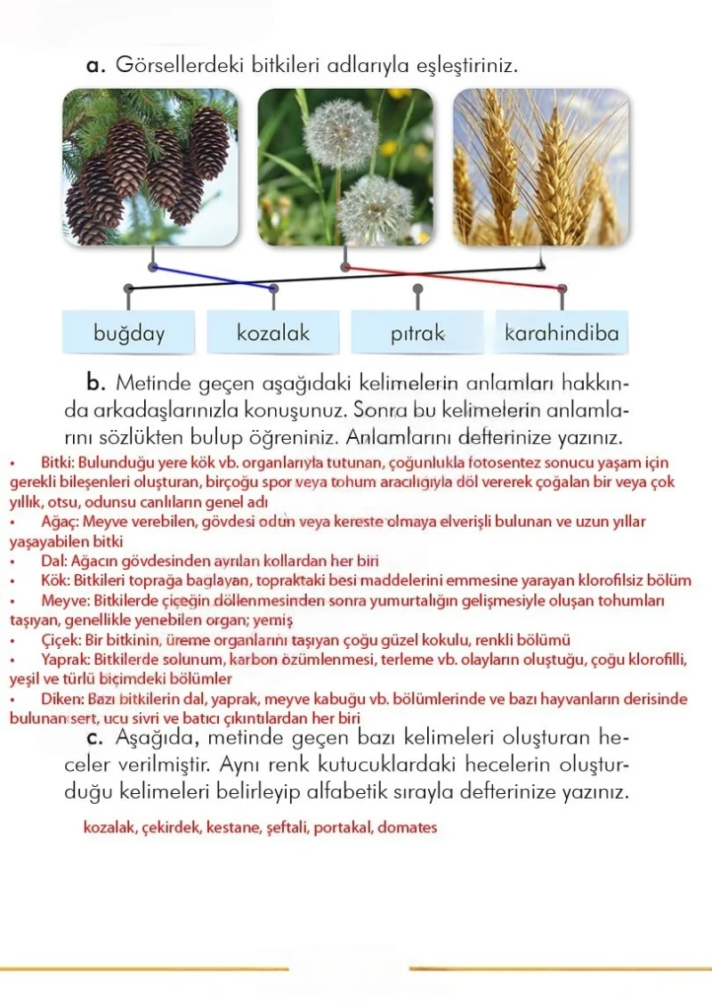 2. Sınıf Türkçe Ders Kitabı Cevapları İlke Yayınları Sayfa 296 Çözüm Görseli