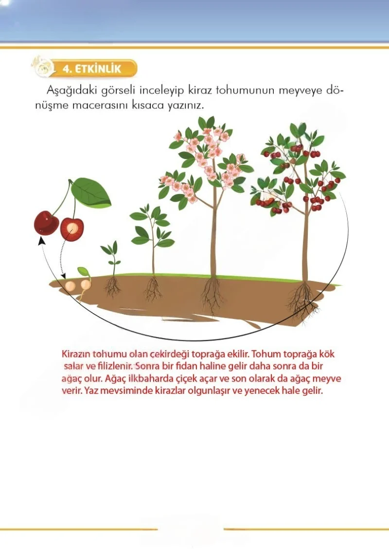 2. Sınıf Türkçe Ders Kitabı Cevapları İlke Yayınları Sayfa 298 Çözüm Görseli