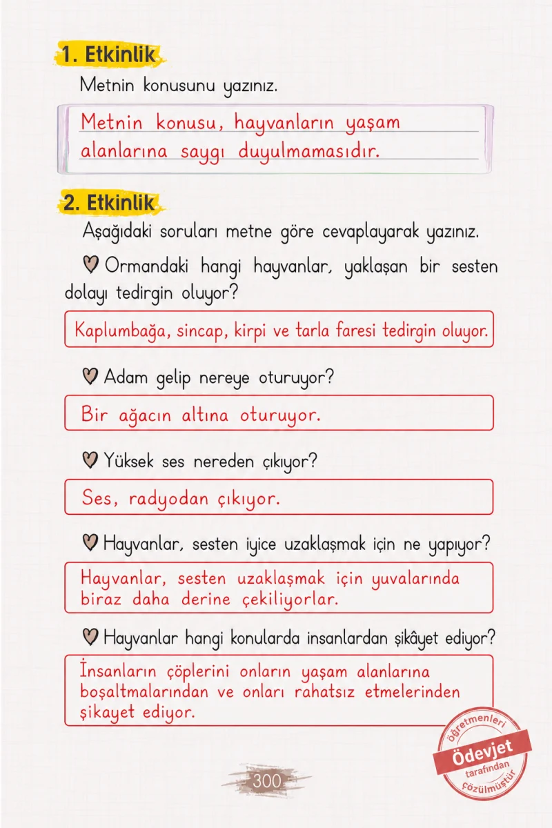 2. Sınıf Türkçe Ders Kitabı Cevapları Koza Yayınları Sayfa 300 Çözüm Görseli