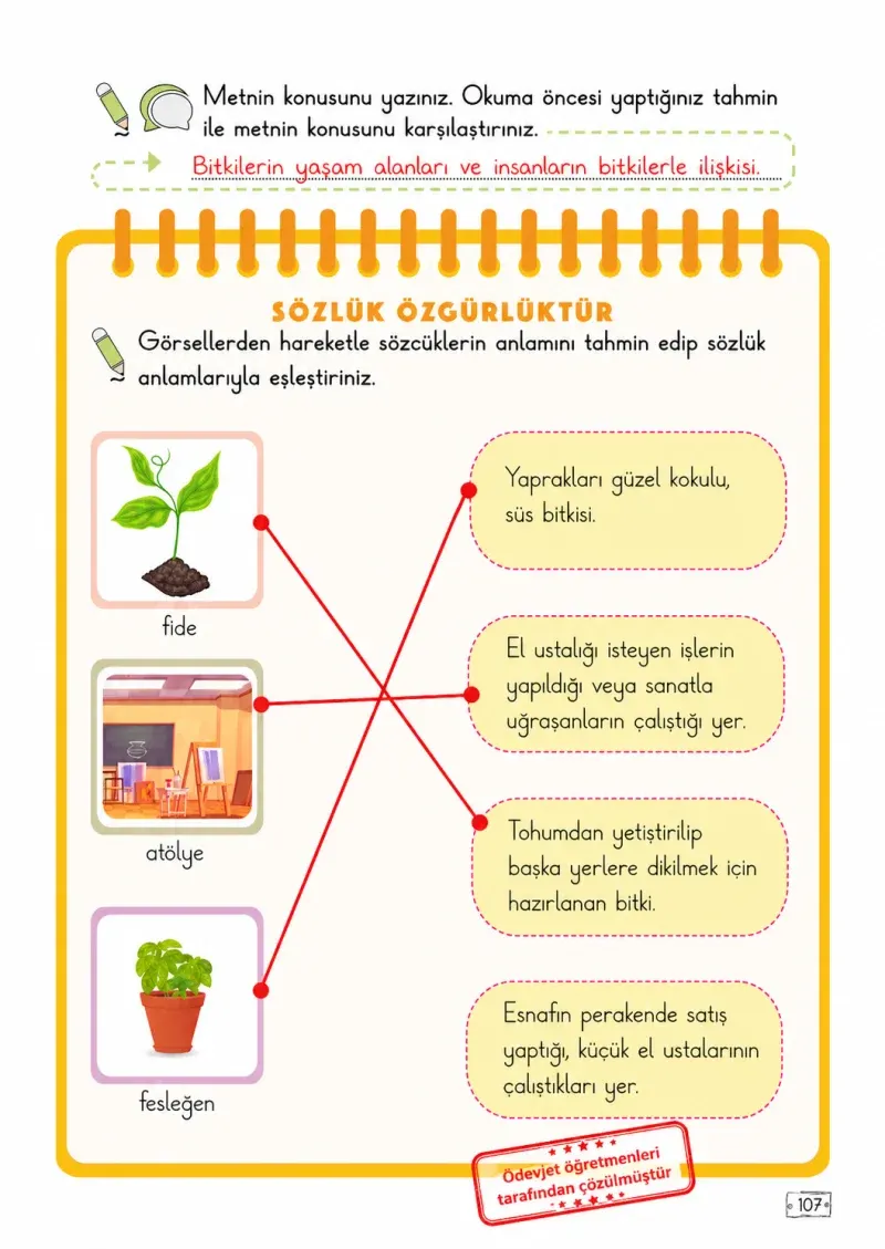 2. Sınıf Türkçe Ders Kitabı Cevapları Meb Yayınları 1. Kitap Sayfa 107 Çözüm Görseli