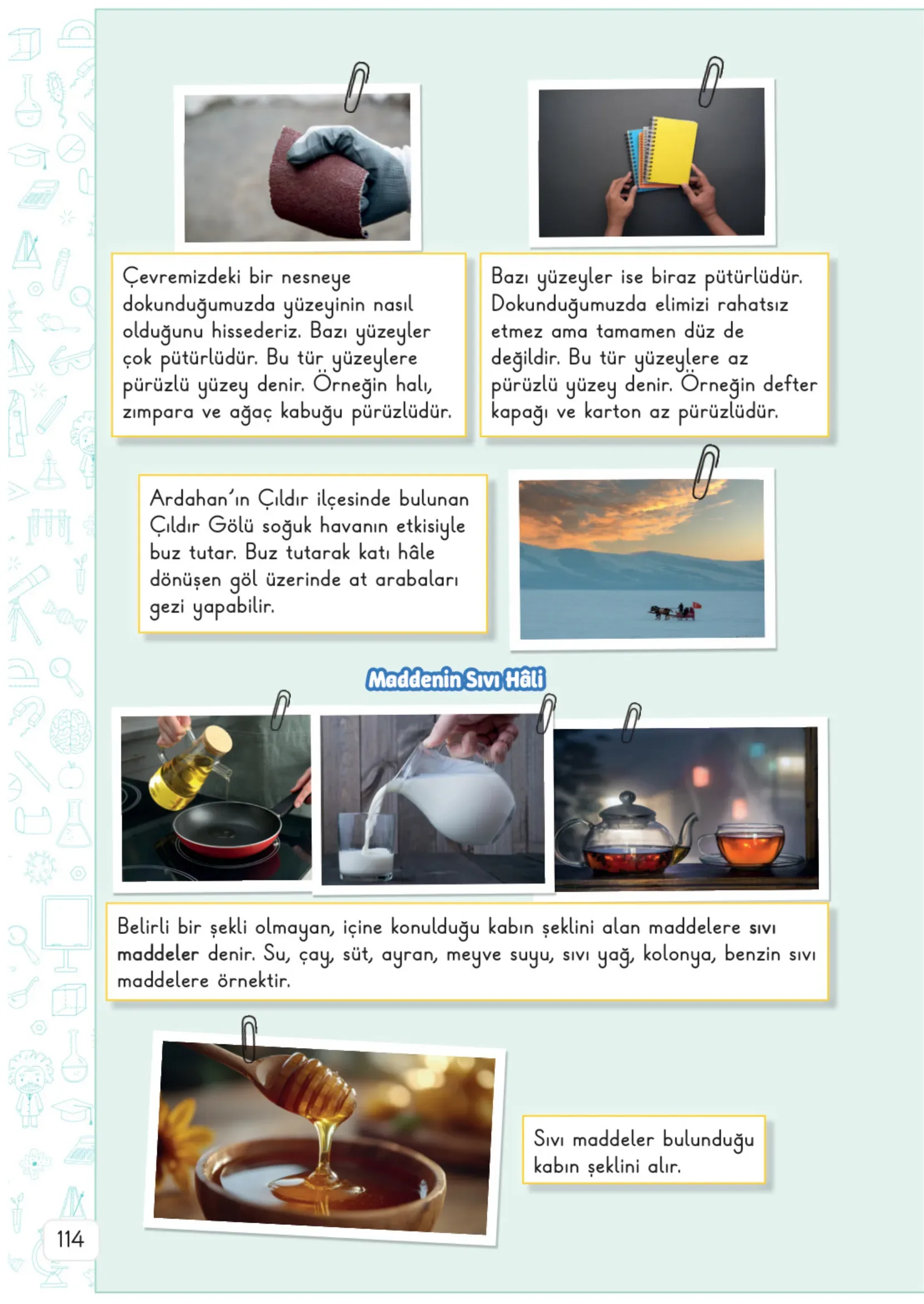3. Sınıf Fen Bilimleri Ders Kitabı Cevapları Meb Yayınları 1. Kitap Sayfa 114