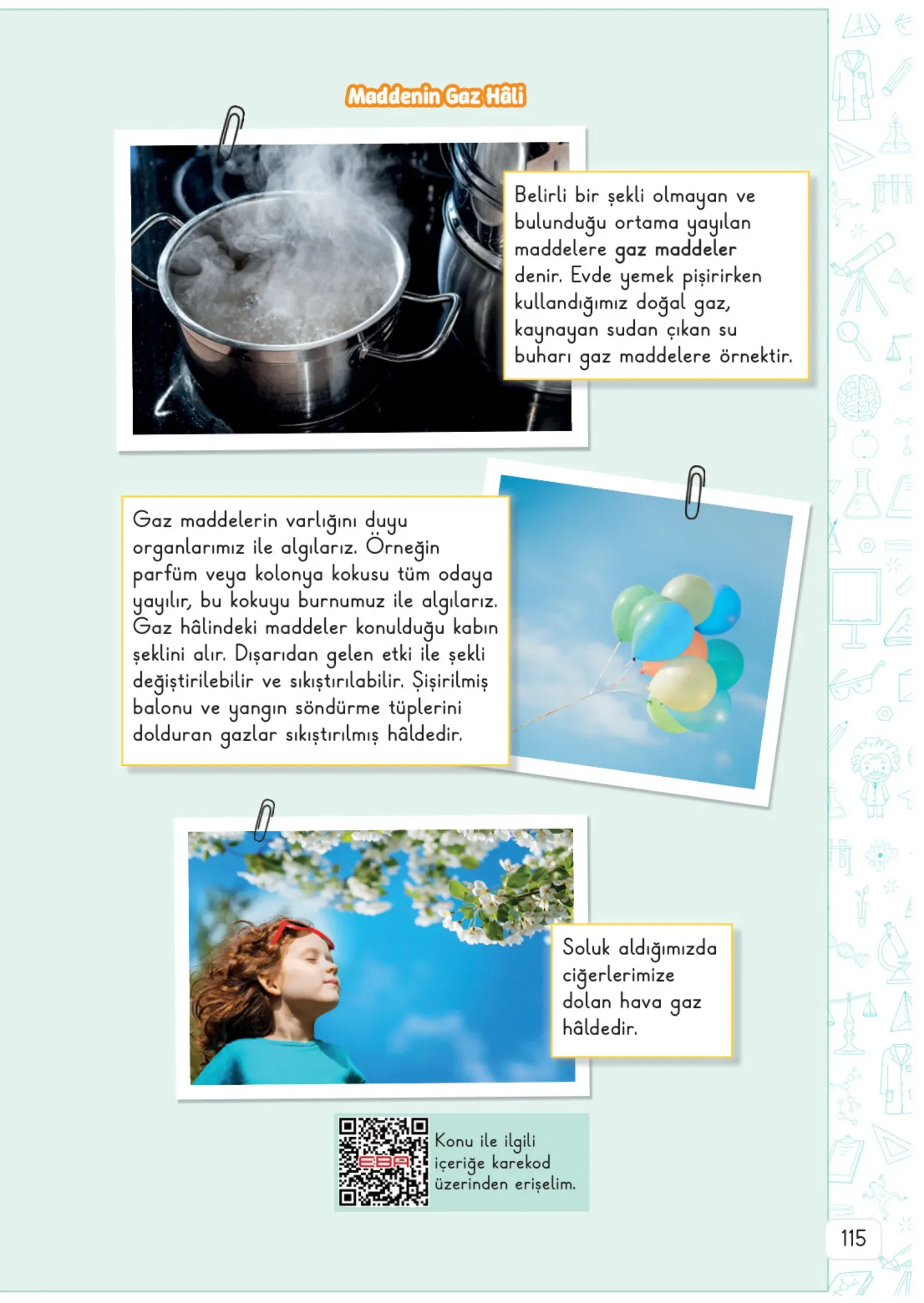 3. Sınıf Fen Bilimleri Ders Kitabı Cevapları Meb Yayınları 1. Kitap Sayfa 115