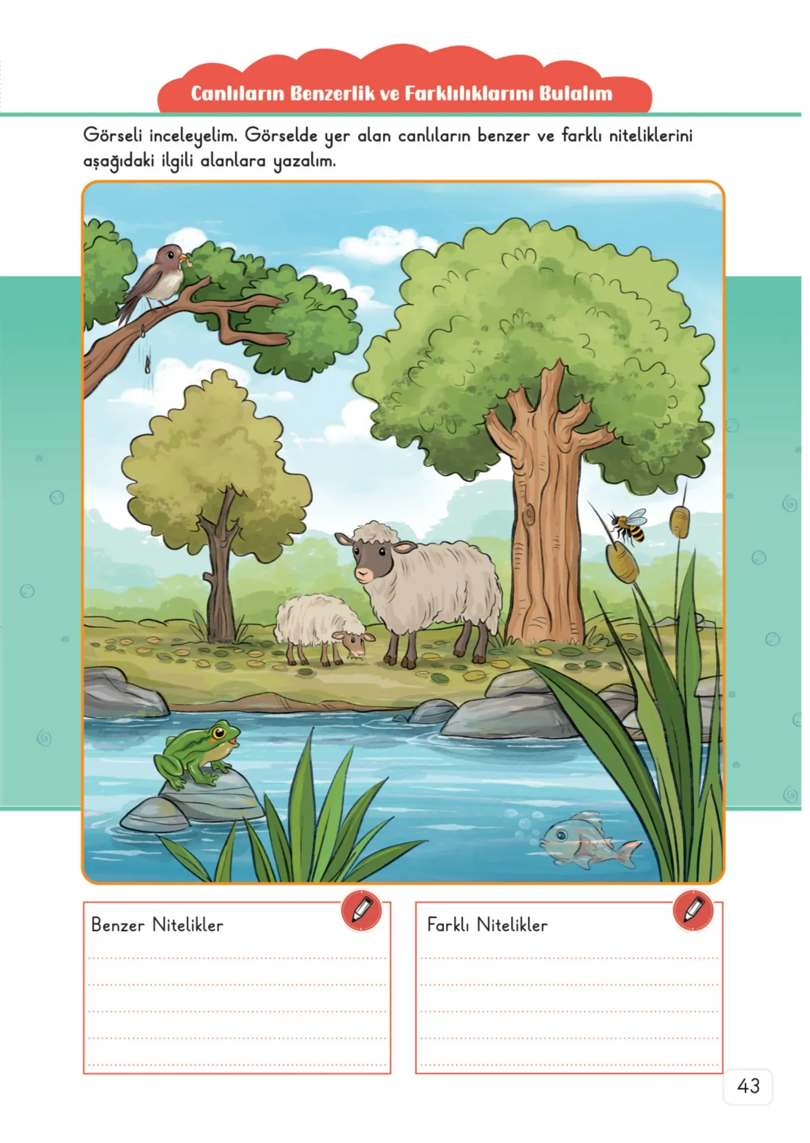 3. Sınıf Fen Bilimleri Ders Kitabı Cevapları Meb Yayınları 1. Kitap Sayfa 43