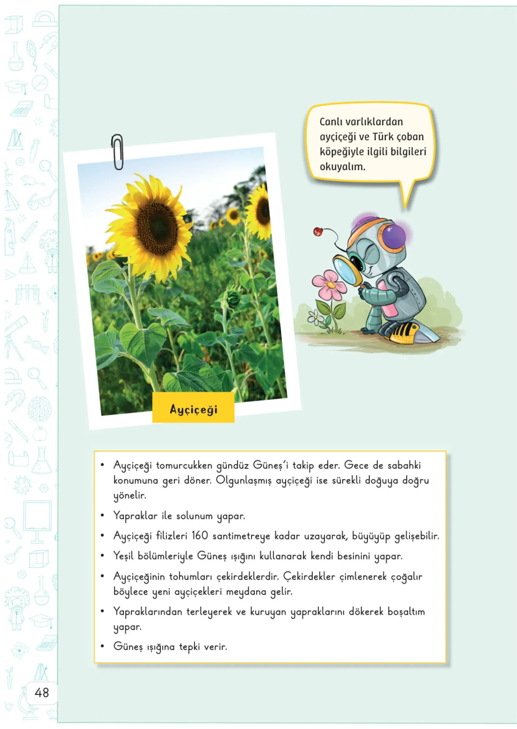 3. Sınıf Fen Bilimleri Ders Kitabı Cevapları Meb Yayınları 1. Kitap Sayfa 48