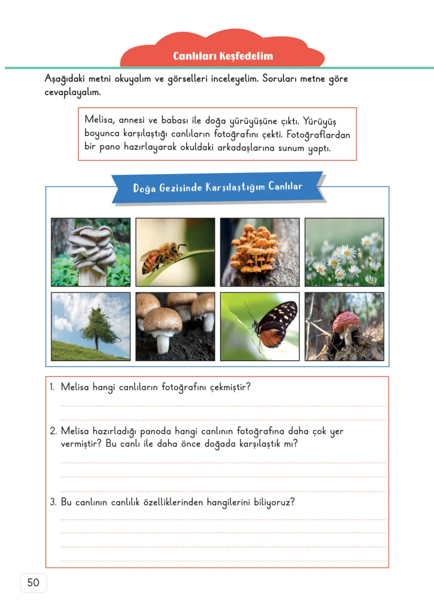 3. Sınıf Fen Bilimleri Ders Kitabı Cevapları Meb Yayınları 1. Kitap Sayfa 50