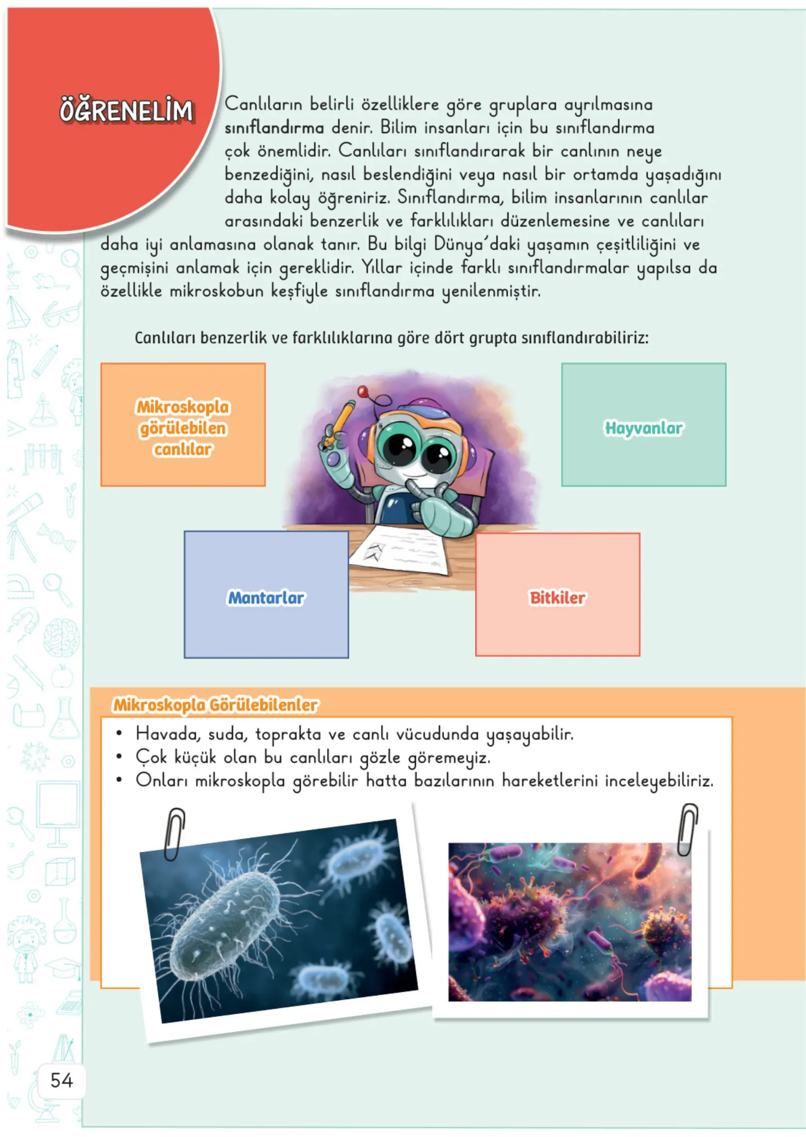 3. Sınıf Fen Bilimleri Ders Kitabı Cevapları Meb Yayınları 1. Kitap Sayfa 54
