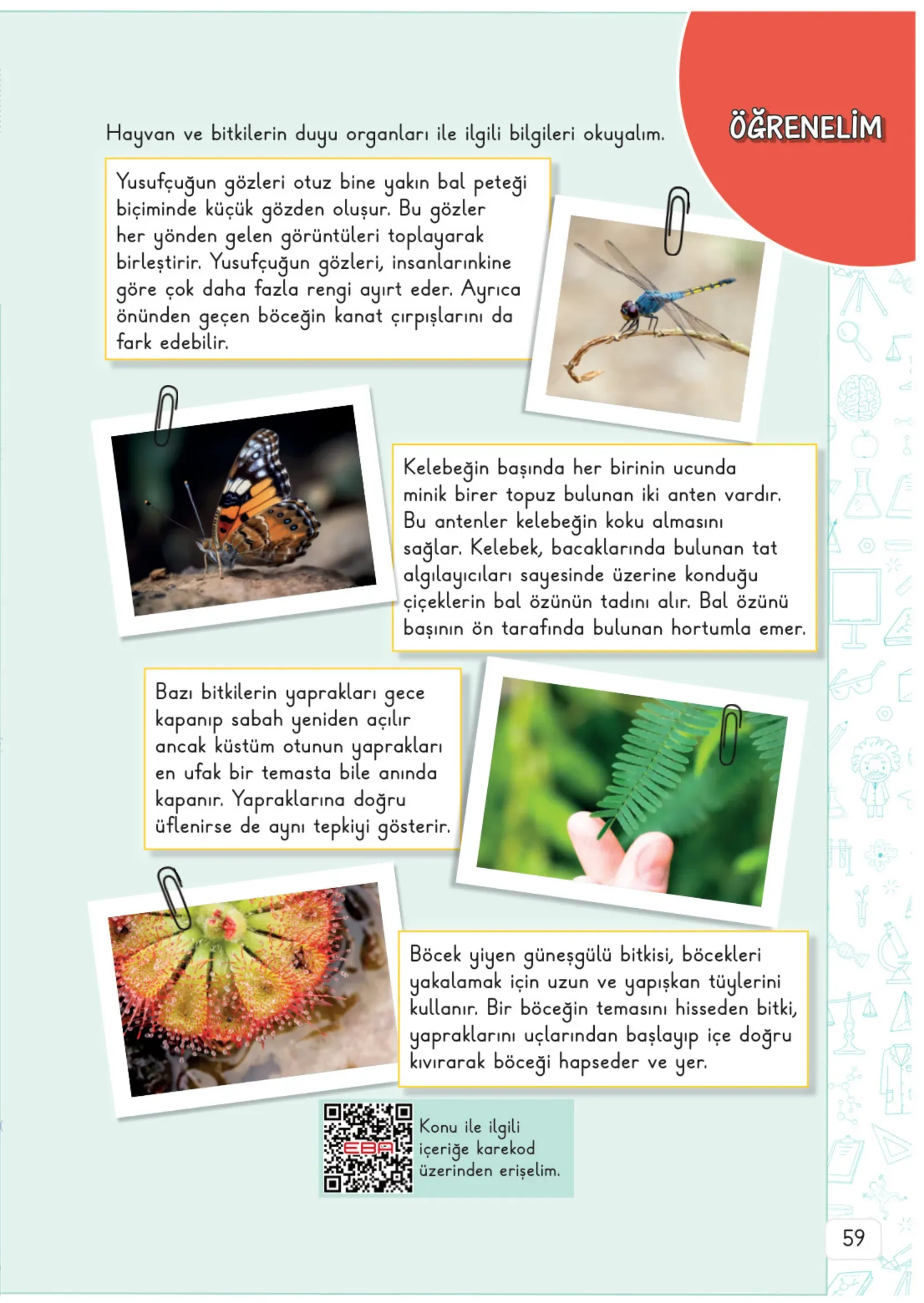 3. Sınıf Fen Bilimleri Ders Kitabı Cevapları Meb Yayınları 1. Kitap Sayfa 59