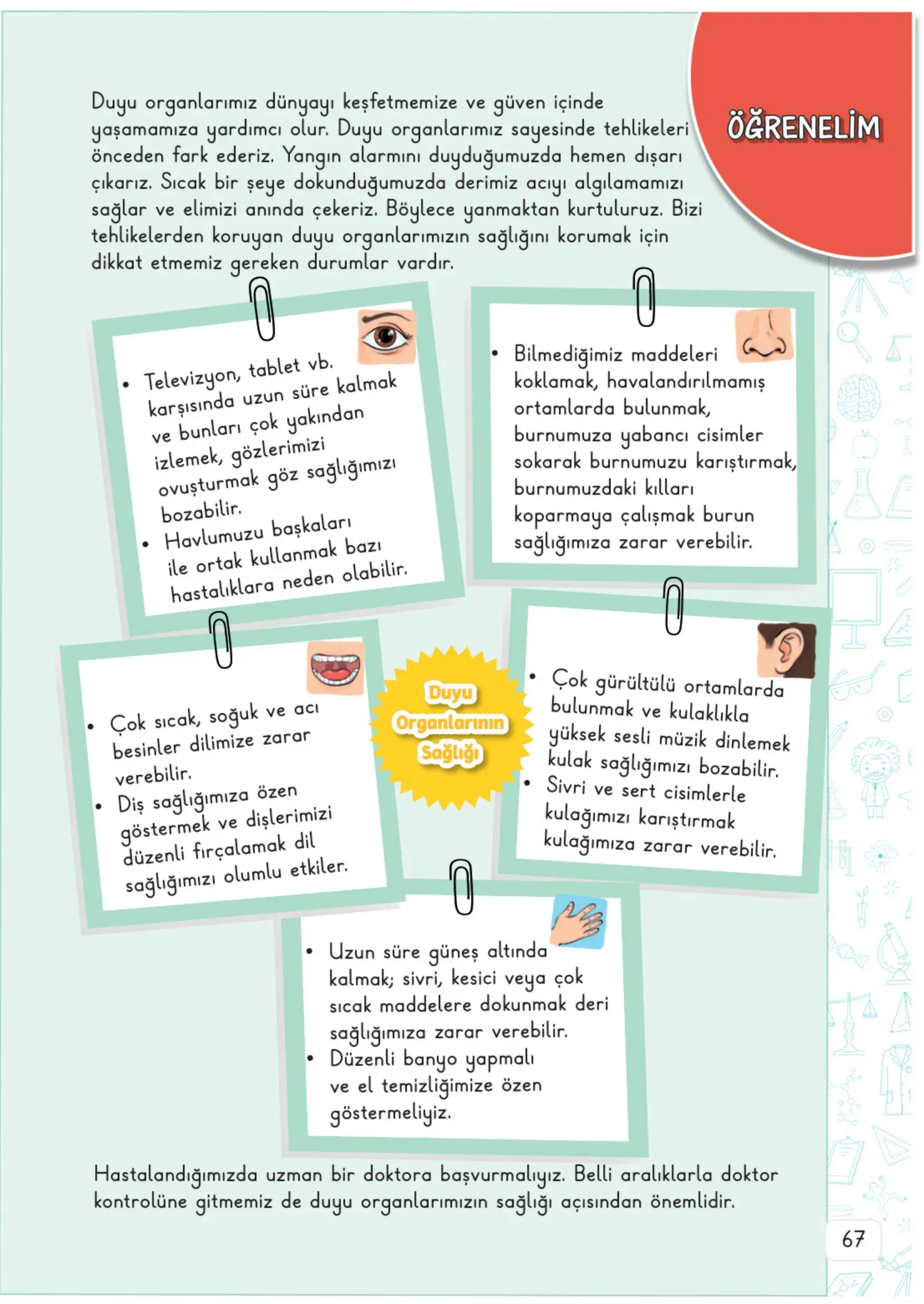 3. Sınıf Fen Bilimleri Ders Kitabı Cevapları Meb Yayınları 1. Kitap Sayfa 67