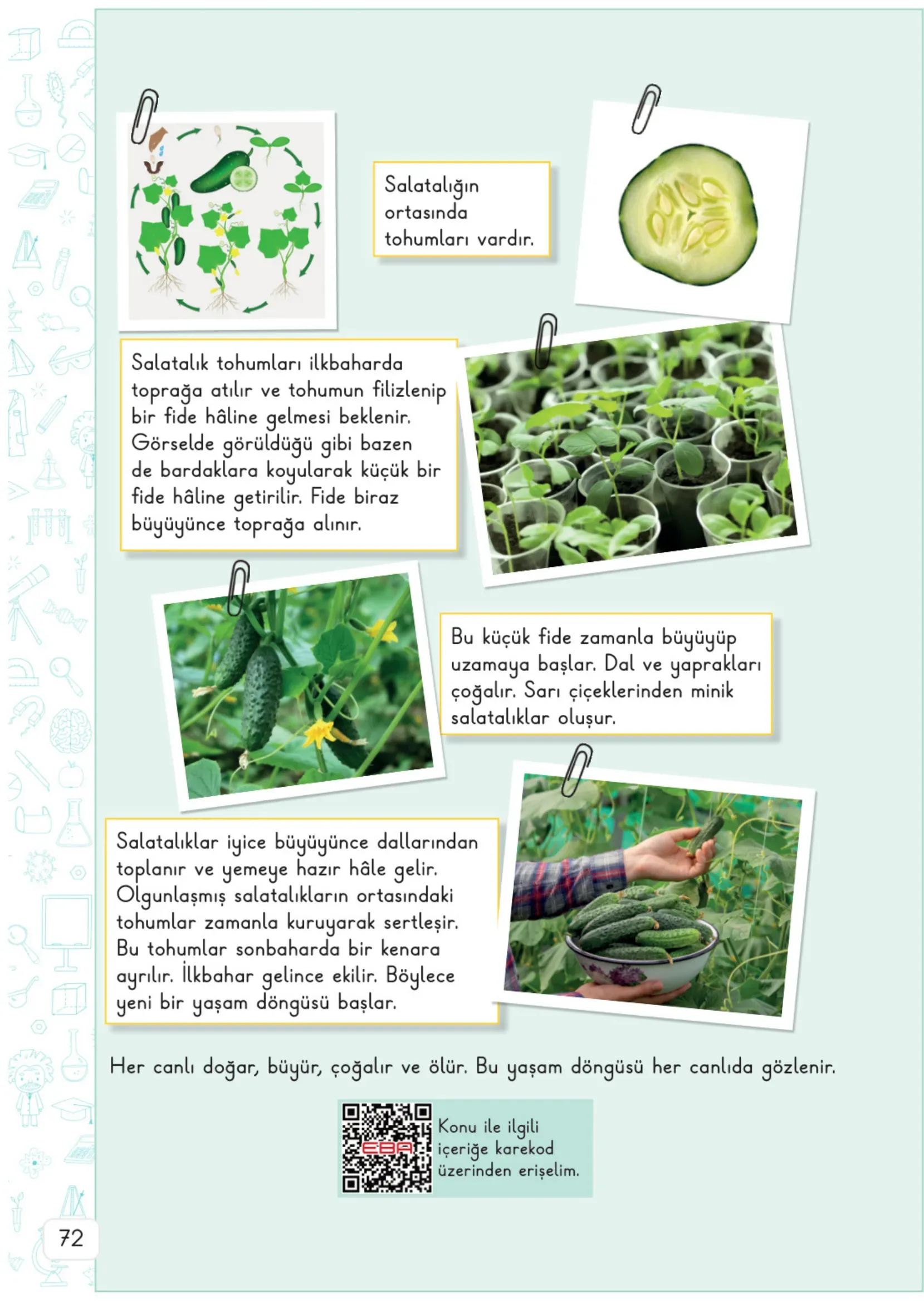 3. Sınıf Fen Bilimleri Ders Kitabı Cevapları Meb Yayınları 1. Kitap Sayfa 72