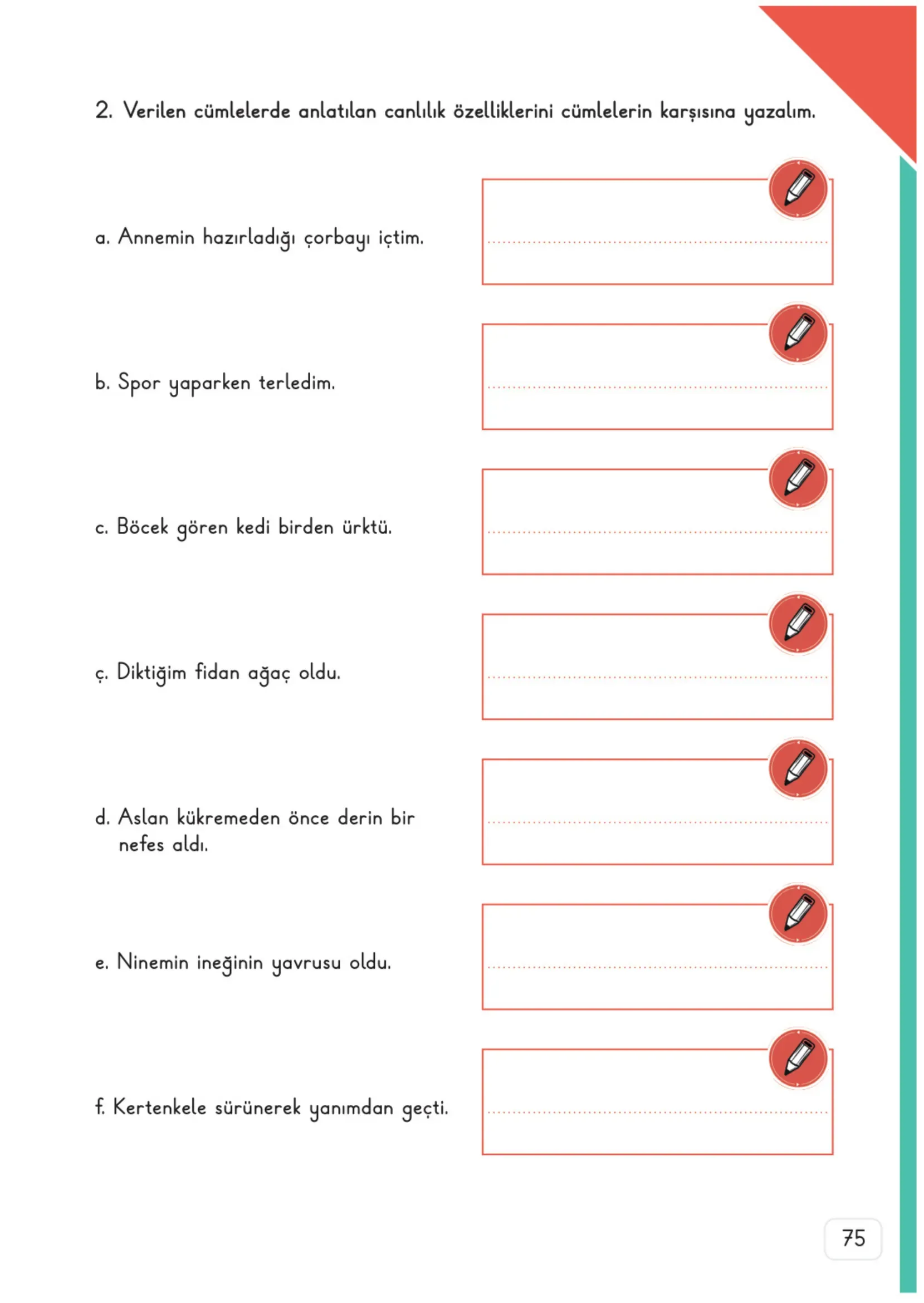 3. Sınıf Fen Bilimleri Ders Kitabı Cevapları Meb Yayınları 1. Kitap Sayfa 75