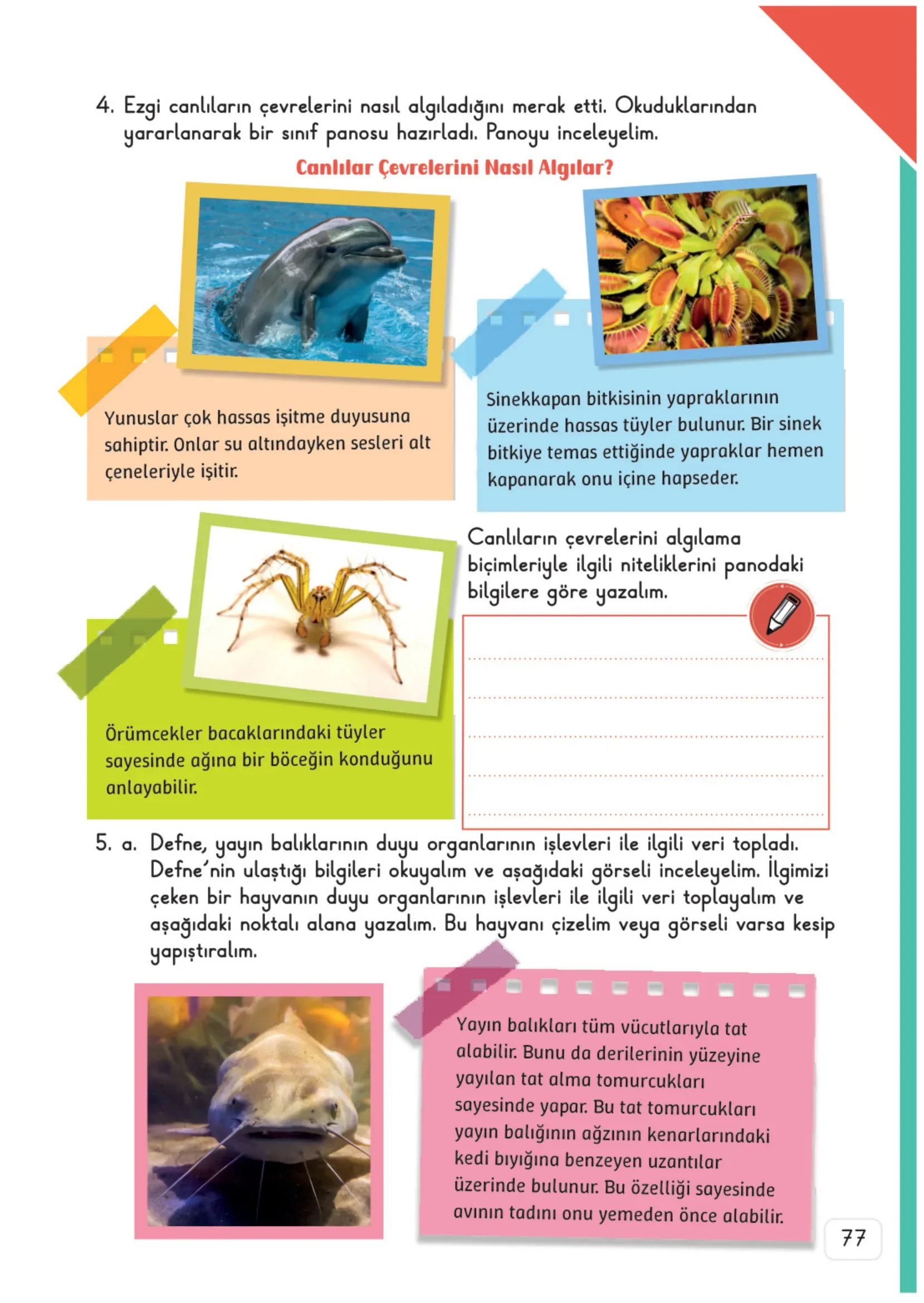 3. Sınıf Fen Bilimleri Ders Kitabı Cevapları Meb Yayınları 1. Kitap Sayfa 77