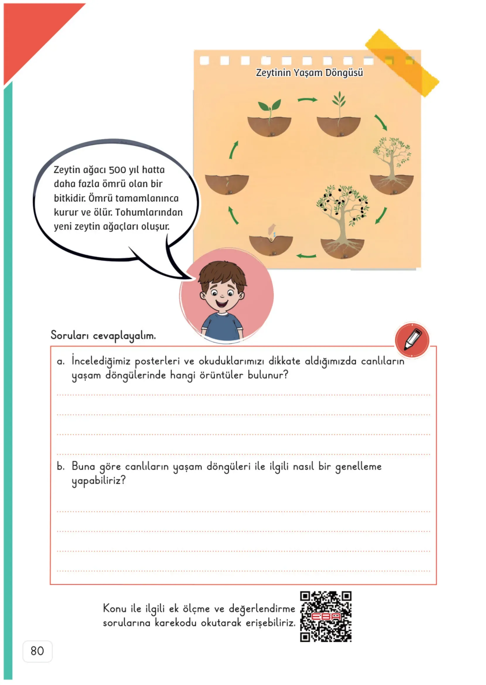 3. Sınıf Fen Bilimleri Ders Kitabı Cevapları Meb Yayınları 1. Kitap Sayfa 80