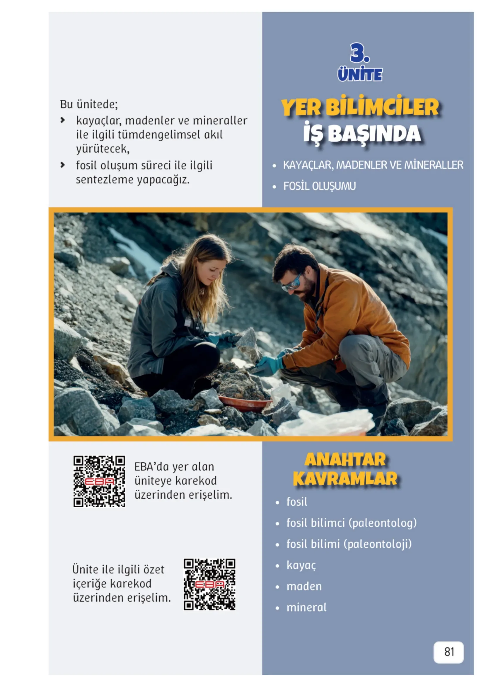 3. Sınıf Fen Bilimleri Ders Kitabı Cevapları Meb Yayınları 1. Kitap Sayfa 81
