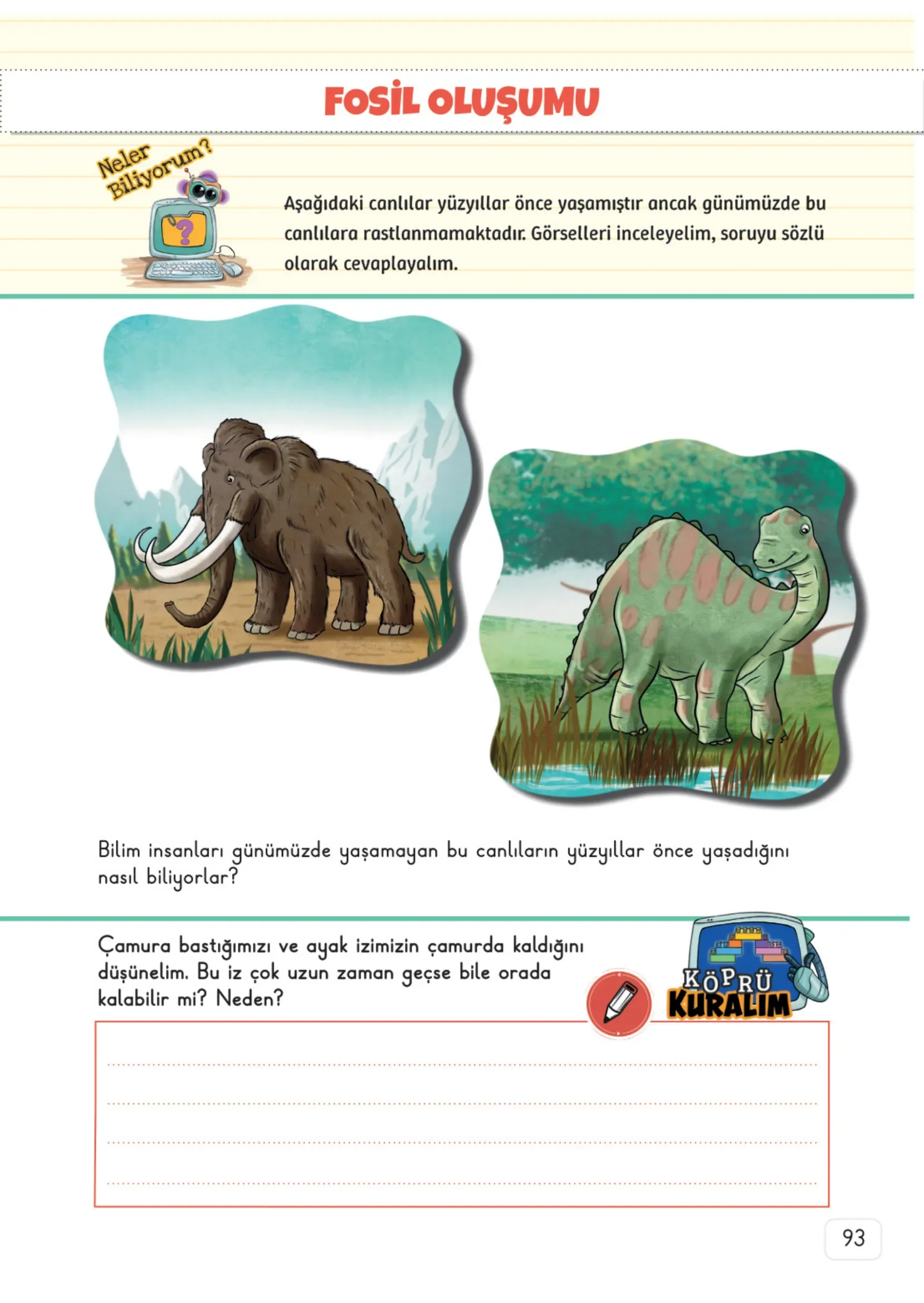 3. Sınıf Fen Bilimleri Ders Kitabı Cevapları Meb Yayınları 1. Kitap Sayfa 93