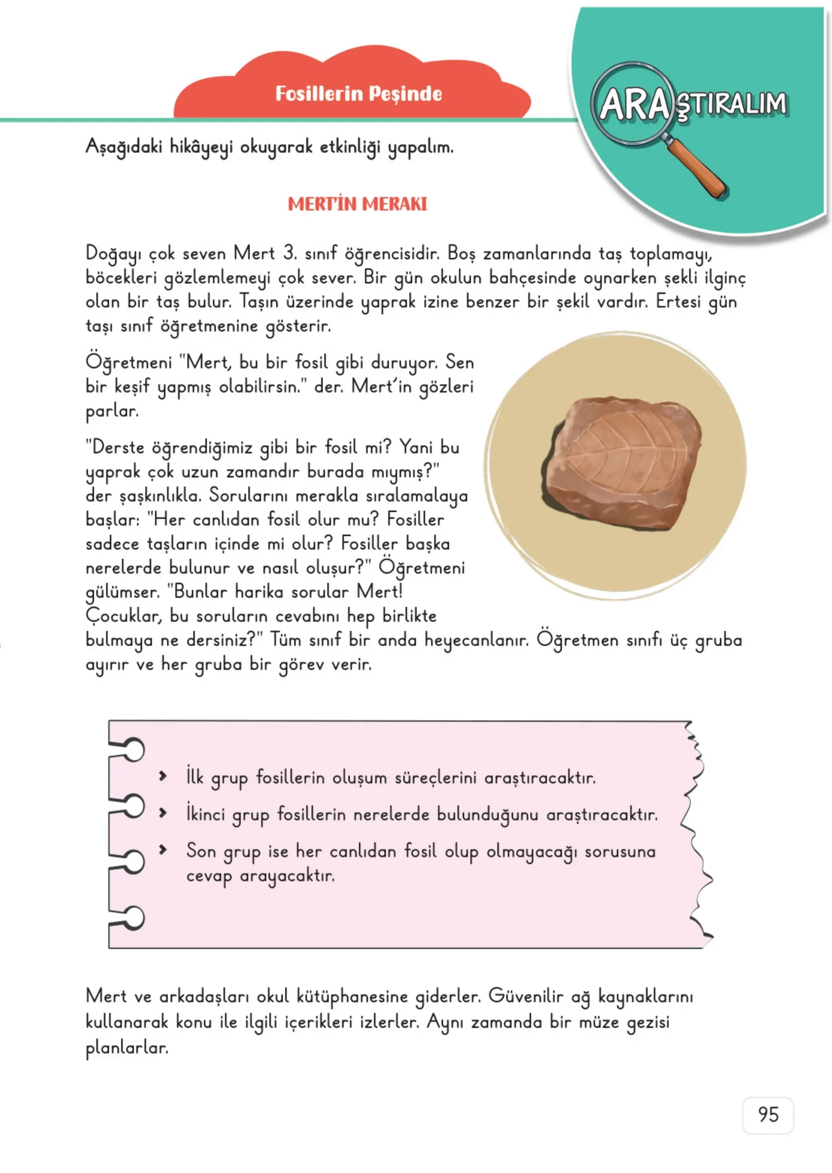 3. Sınıf Fen Bilimleri Ders Kitabı Cevapları Meb Yayınları 1. Kitap Sayfa 95