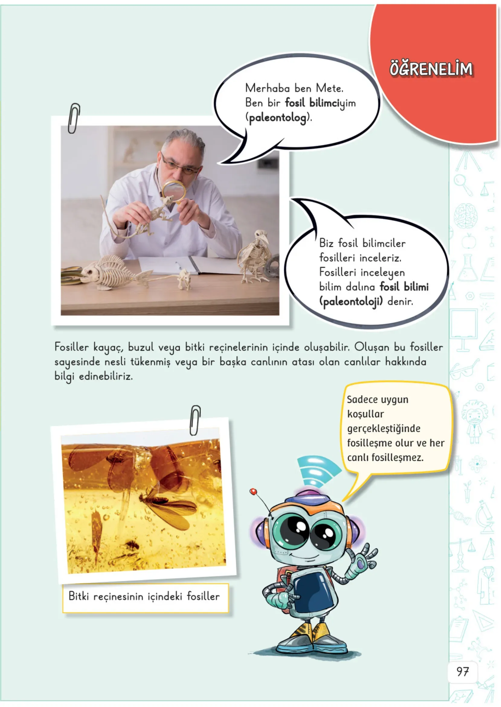 3. Sınıf Fen Bilimleri Ders Kitabı Cevapları Meb Yayınları 1. Kitap Sayfa 97